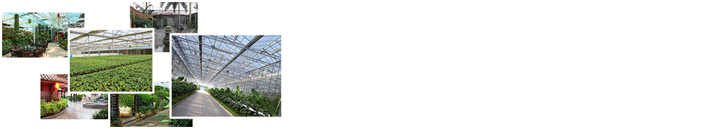 24小時(shí)免費咨詢(xún)、免費技術(shù)指導